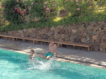 Landscaping around the pool