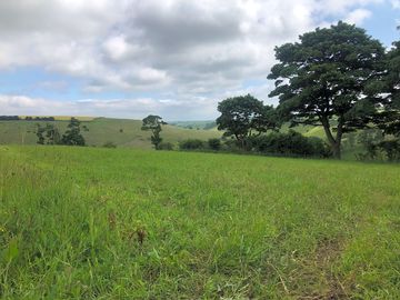 View of the main campsite