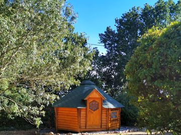 Hobbit hut among the trees