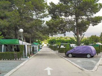 Road through the site