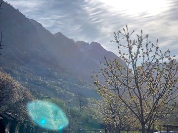 Alpine view