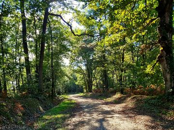Espace nature en forêt