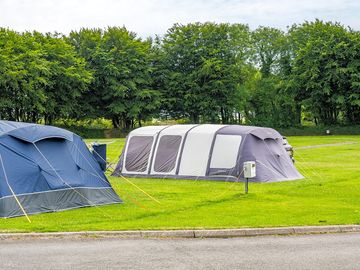 Electric grass tent pitches