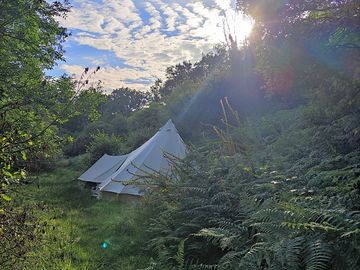 Our wild glamping bell tent
