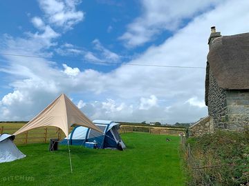 Grass pitches