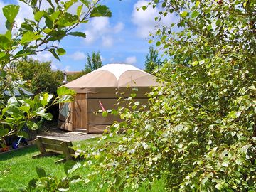 The most secluded of our yurts. This one is called Dingley Dell yurt.