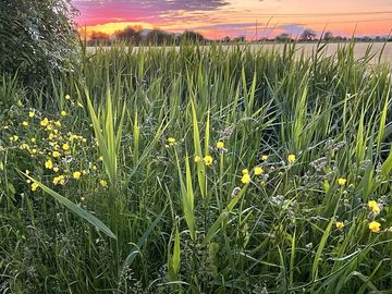 Sunset view