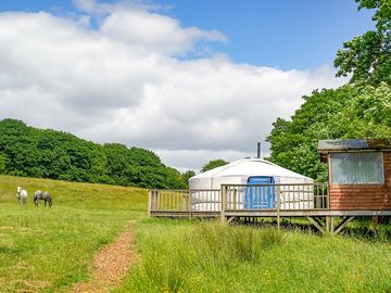 Neighbours in the field