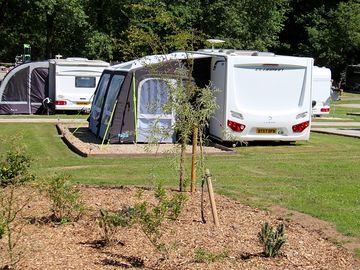 Spacious pitches with room to spread out