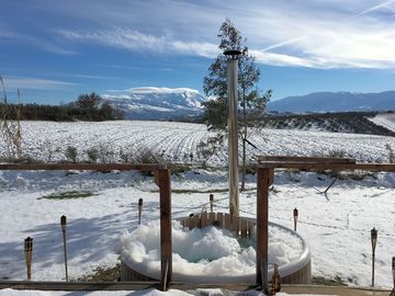 Winter landscape