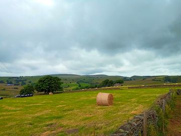 View of the national park from the pitches