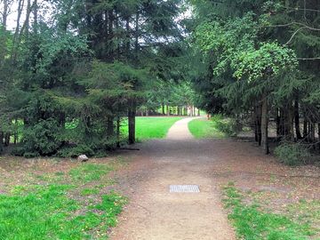 Path through the pitches with the games field on the left