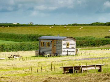 Tamar shepherd's hut