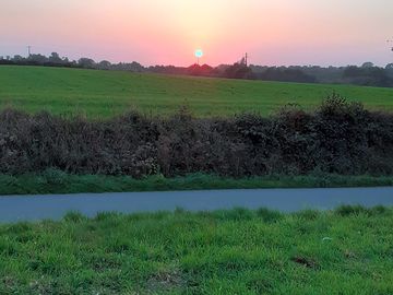 Grass pitches at sunset
