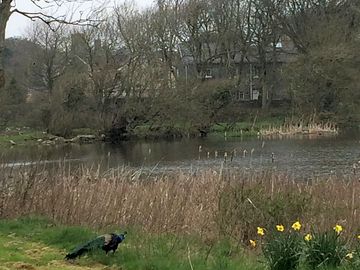 Walk by the lake