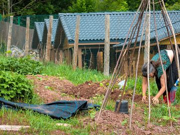 Garden area, where we teach the workshops