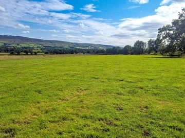 Camping field