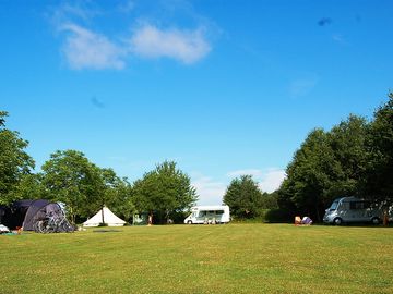 Grass pitches