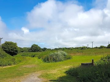The five-acre dog field