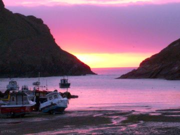 The harbour