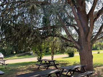Shaded picnic tables