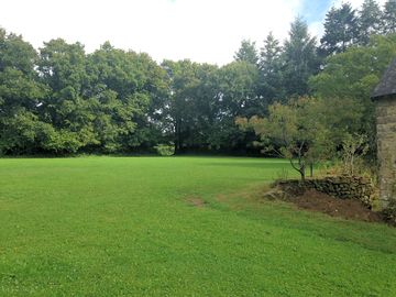 Grass field for pitching