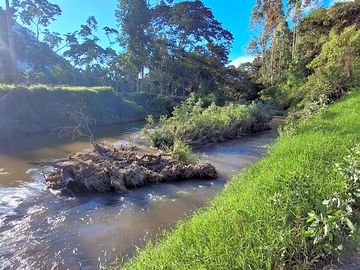 Río en el bosque de conservación