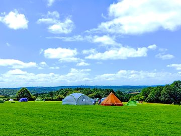 Grass pitches