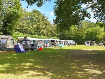 Pitches shaded by trees