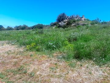 Around the site