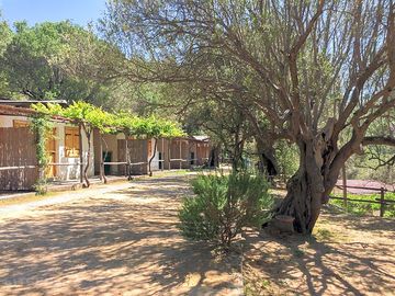 Cabins