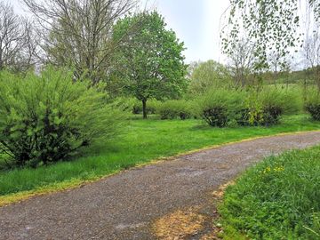 Track to the pitches