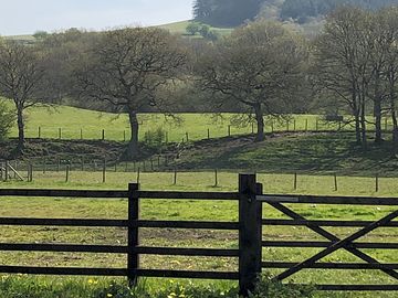 Camping field