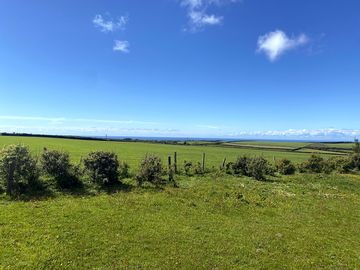 View from our large electric grass pitches