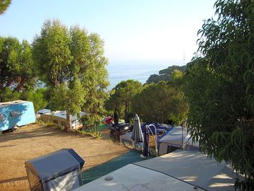Pitches surrounded by trees