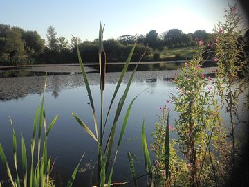 A summer evening on site
