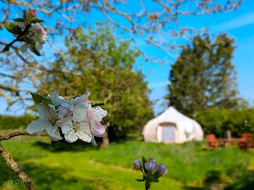 Luna Bell Tent