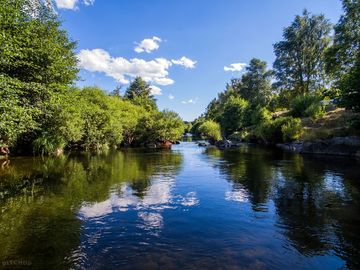 Direct access to the Allier river