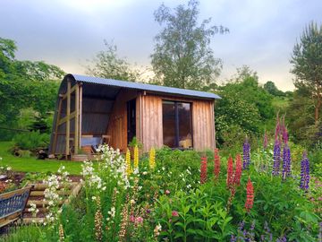 Flowers blooming in the garden