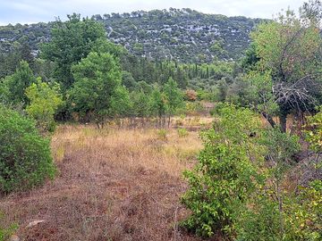 View of the site