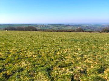 Field
