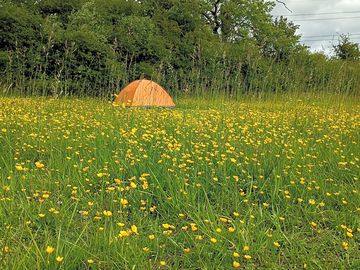Meadow pitch