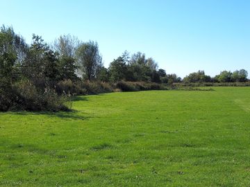 Non-electric grass area