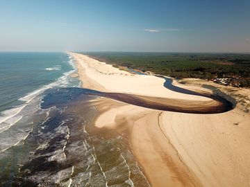 Experience the 'small amazon' of the courant d'huchet