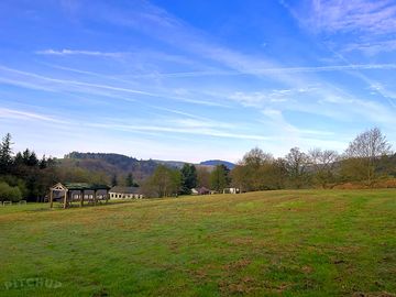 Spacious camping field