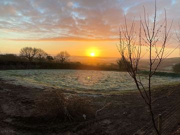 Morning view