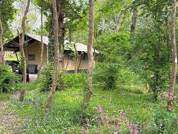 The private setting allows you to embrace nature in your own woodland.