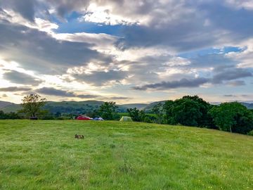 Visitor image of the view from their tent