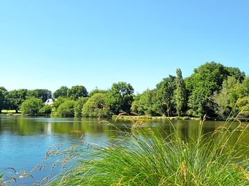 View across the lake