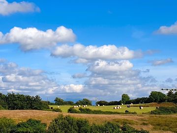 Hay fields